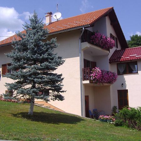 Guesthouse Hodak Seliste Dreznicko Dış mekan fotoğraf