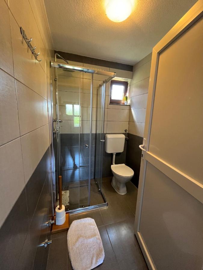 Guesthouse Hodak Seliste Dreznicko Dış mekan fotoğraf